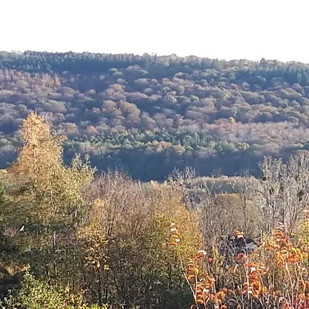 Konukevi Le Coeur Sur La Main 3*